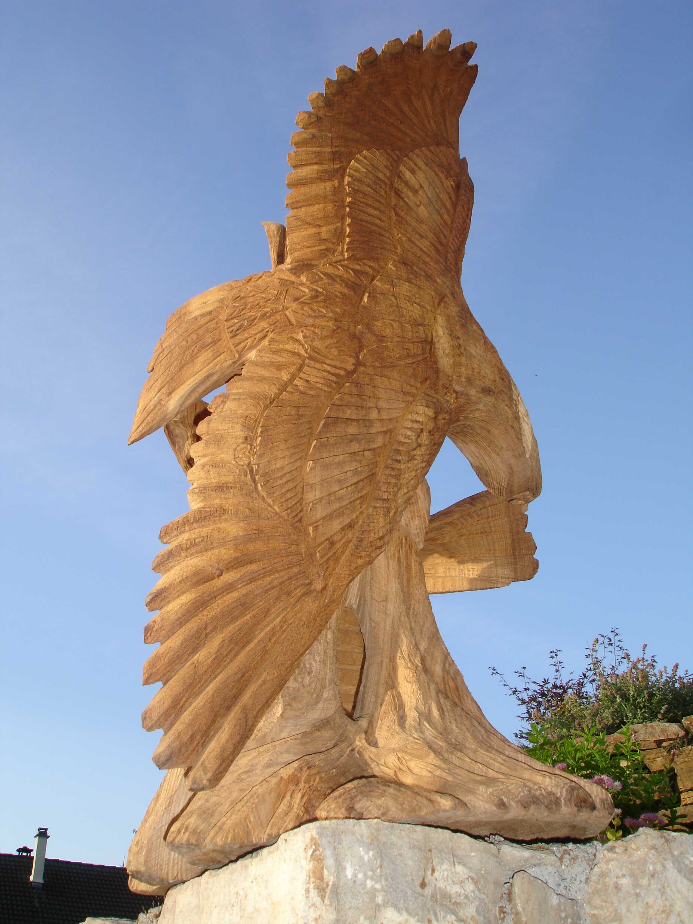 combat d'aigle